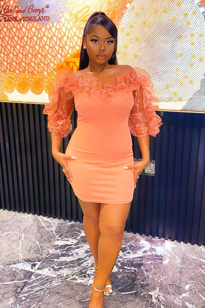 Rose Mesh Frill Neck Bardot Mini Bodycon Dress - Ellarae-Dresses