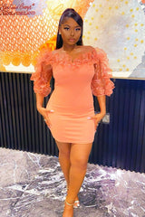 Rose Mesh Frill Neck Bardot Mini Bodycon Dress - Ellarae-Dresses