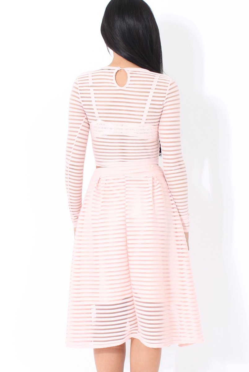 Rose Semi Sheer Stripe Crop Top - Alix-Crop Tops