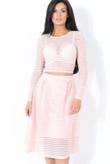 Rose Semi Sheer Stripe Crop Top - Alix-Crop Tops