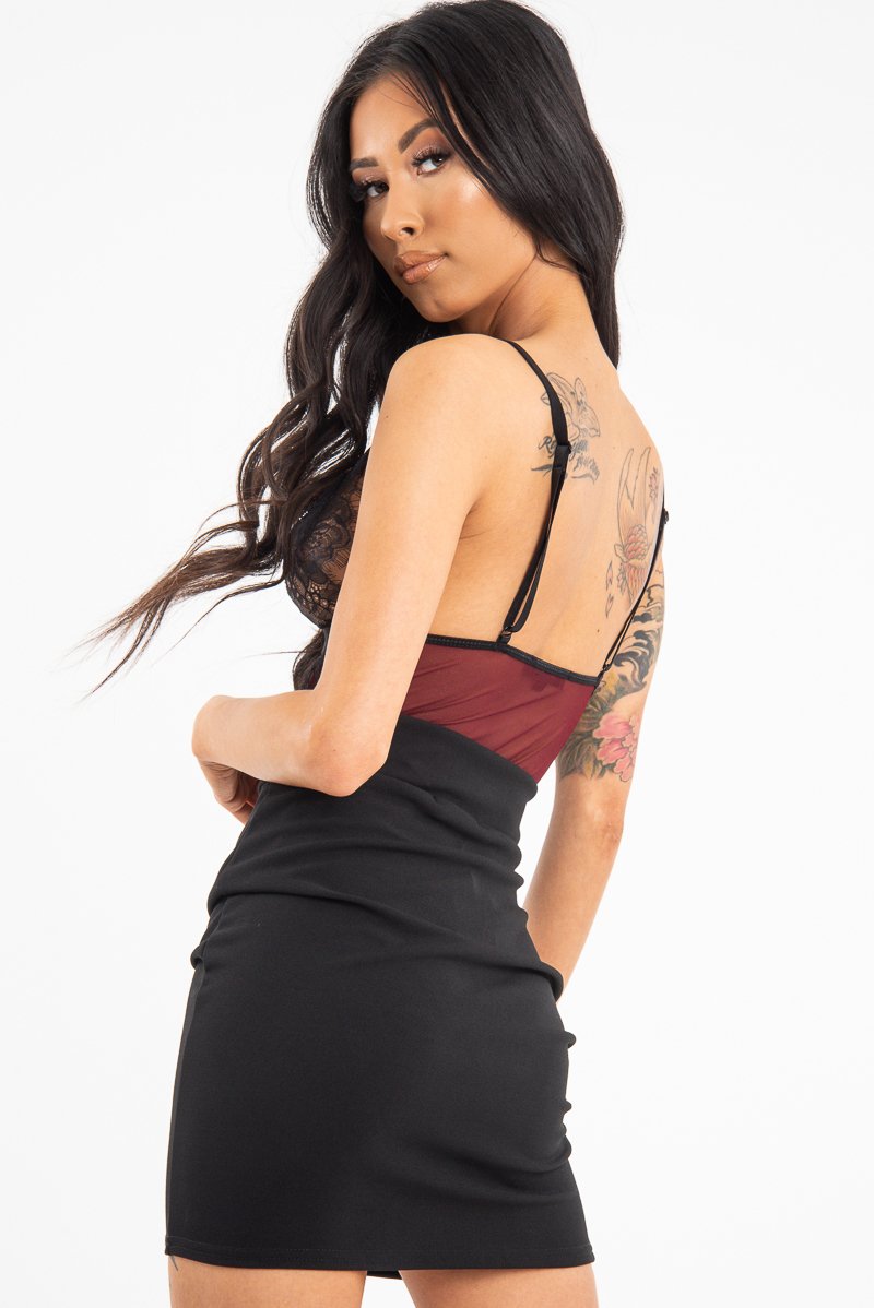 Wine Black Sheer Lace Plunge Bodysuit - Aneya-Bodysuits