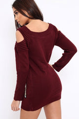 Wine Festive Deer Cold Shouldered Jumper Dress - Catarina-Dresses