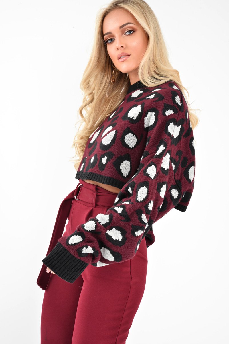 Wine Leopard Crop Batwing Jumper - Raigen-Jumper