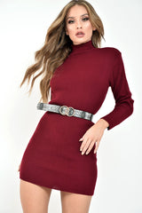 Wine Rib Bodycon Turtle Neck Mini Dress - Tesia-Dresses