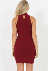 Wine Slinky Top High Neck Dress - Paola